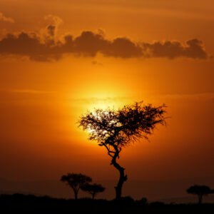 Kenya, Talek - Mara Nyika Camp, 3 nuits en Suite, Pension complète