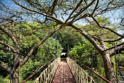 Kenya, Narok - Mara Plains Camp, 3 nuits en Suite, Pension complète – Image 2
