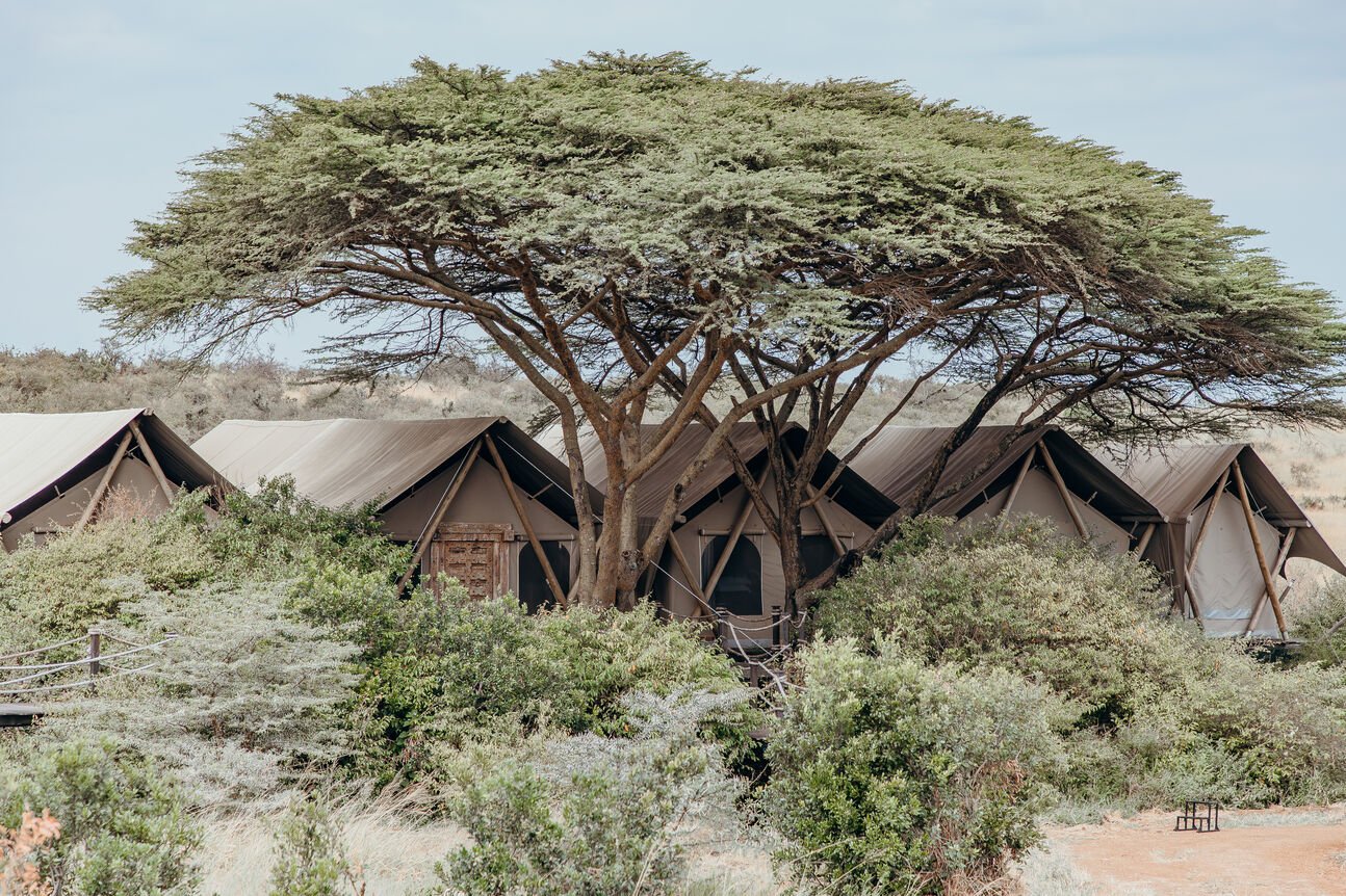 Kenya, Talek - Mara Nyika Camp, 3 nuits en Suite, Pension complète – Image 7